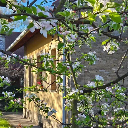 Duzzogo Vendeghaz Agard 別荘