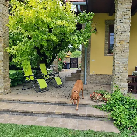 Duzzogo Vendeghaz Agard Holiday home
